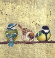 /album/fotogalerie/birds-gold-1-002-oriz-jpg/